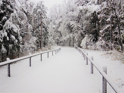 雪の積もったモニタリングフィールドの写真