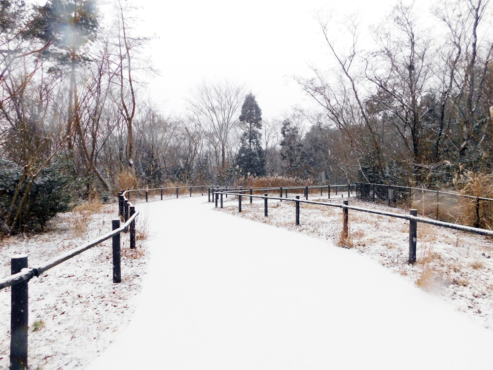 富岡町の積雪のイメージ