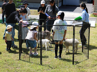 イベント「どうぶつふれあい学校」でヤギと触れ合っている様子
