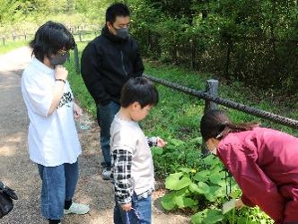 自然観察の様子
