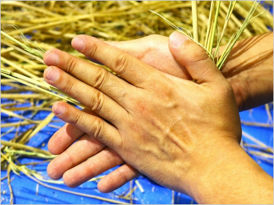 しめ縄制作の様子2