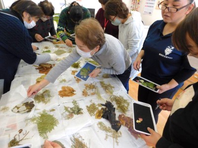 押し花をみなさんで選んでいる様子