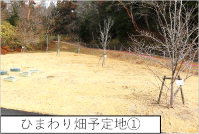 ひまわり畑予定地1の写真