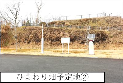 ひまわり畑予定地2の写真