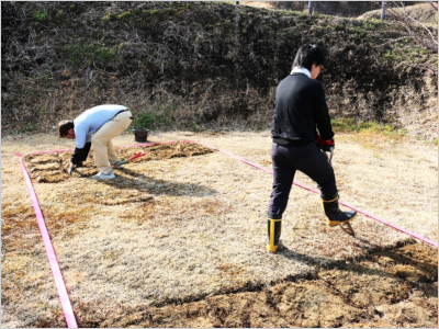 ひまわり畑の土を耕している男性2人の写真
