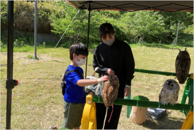 どうぶつふれあい学校の写真