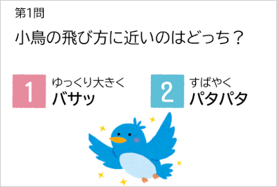 空を飛ぶ鳥の翼のふしぎをクイズの画像