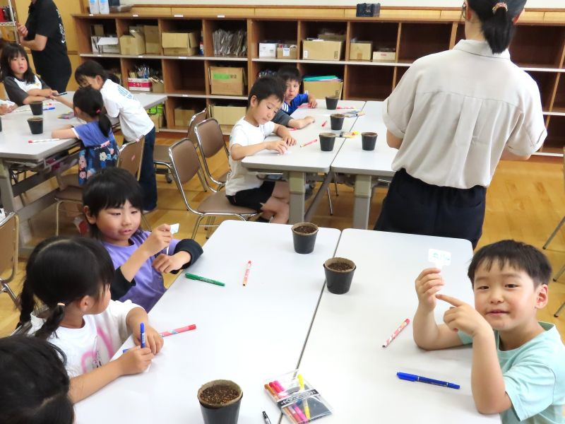 ひまわりの種について話し合うこどもたちの様子