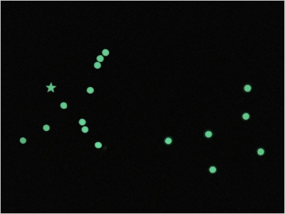 カードの星座が光る様子